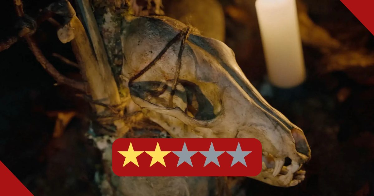 Hunting Matthew Nichols, Finding Little Else